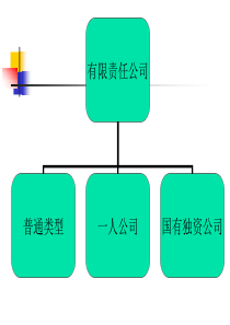 有限责任公司