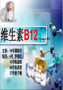 维生素B12教学PPT