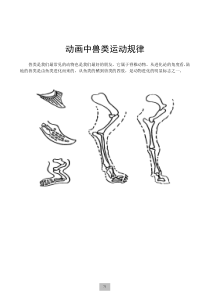 兽类的运动规律