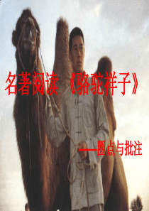 名著阅读《骆驼祥子》ppt课件精选教学PPT课件