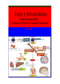 地中海贫血诊断与治疗指南