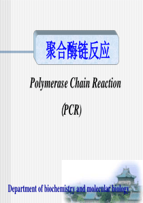 PCR(2011级研究生)2011.11