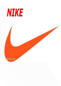 产品组合分析(Nike)