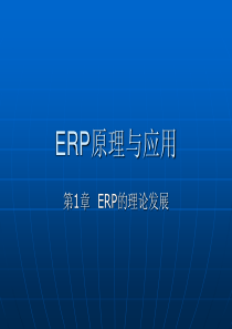 ERP原理与应用