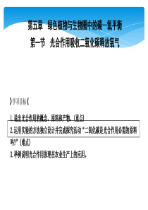 第一节-光合作用吸收二氧化碳释放氧气