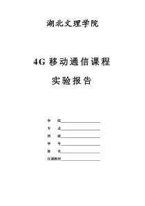 4G移动通信实验报告