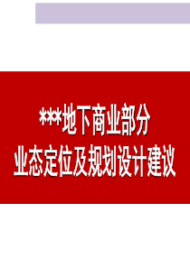 中牟四牟园区域商业项目地下部分商业业态定位及规划设计建议2014年3月58P