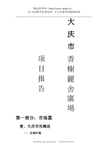 大庆市某商住广场项目定位策划报告