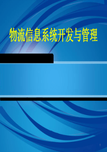 物流信息技术第十章物流信息系统的开发与管理