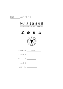 会计实验报告手工帐模板