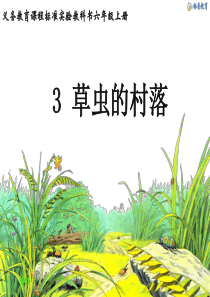 3《草虫的村落》课件