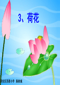 3《荷花》ppt课件6