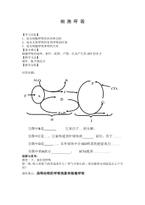 高中生物公开课教案