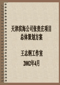 天津XX公司张贵庄项目策划方案