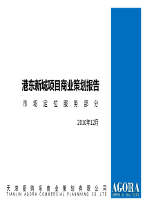 天津港东新城项目商业市场定位策划报告_162PPT_XXXX年