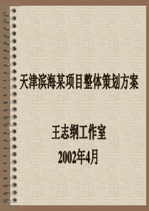 天津滨海某项目整体策划方案