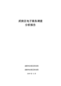 武侯区电子商务调查分析报告091219(完整版本)