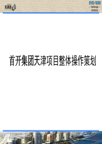 天津首开集团天津湾项目整体定位及操作策划(90页)