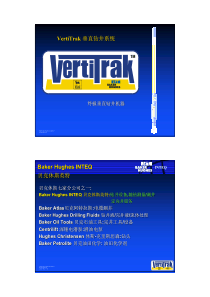 VertiTrak  Presentation_chinese2