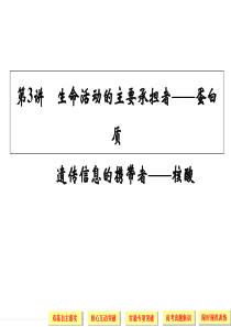 最新2019-蛋白质和核酸一轮复习-PPT课件