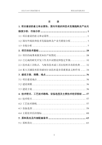 国家企业信息化项目可行性研究报告