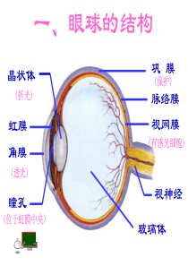 第六讲--人体生命活动的调节复习总结课-50