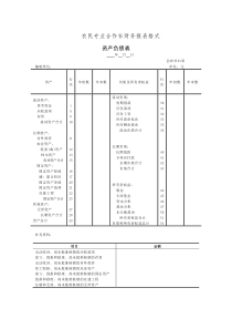 农民专业合作社资产负债表格式