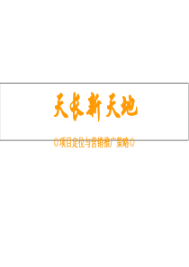 江苏天长市新天地项目定位与营销推广策略-2019-85页-共86页