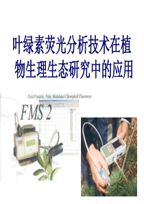 叶绿素荧光研究技术-113页PPT文档