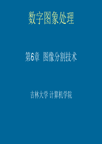 数字图像处理和图像分割技术应用