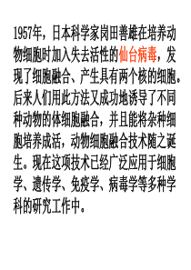 动物细胞融合