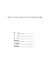 我国中小企业电子商务运行中存在的问题及应对策略