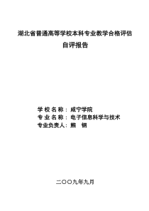 电子信息科学与技术专业自评报告