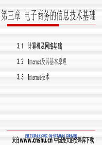 电子商务的信息技术基础(ppt 61)