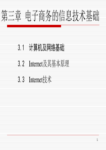 电子商务的信息技术基础