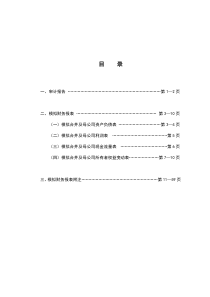 电广传媒上海久之润信息技术有限公司审计报告