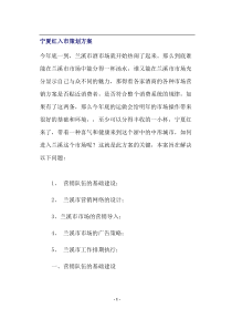 宁夏红入市策划方案(DOC15)(1)