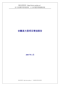 安徽某大型混合项目策划报告