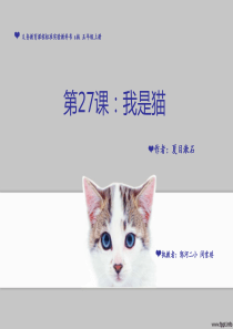 语文s版五年级 夏目漱石《 我是猫 》精致 完整ppt