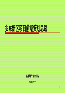 安阳安东新区项目前期策划思路139p-X年7月