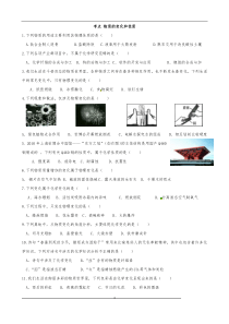 物理变化与化学变化练习题