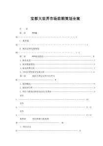 宝都大世界市场前期策划全案(1)