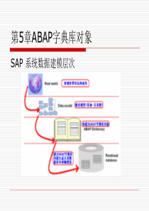 SAP-ABAP程序设计基础教程第5章ABAP字典库对象