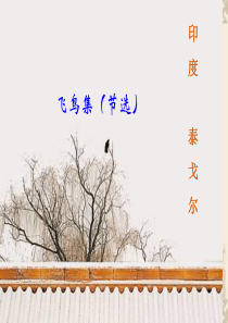 高一语文课件《泰戈尔 飞鸟集(节选)》