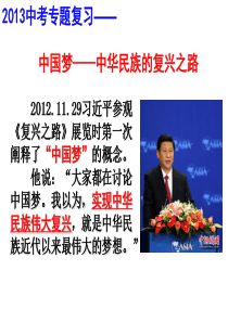 2013年中考历史专题复习：中国梦