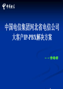 大客户IP-PBX解决方案