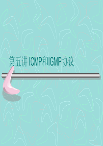 ICMP和IGMP协议