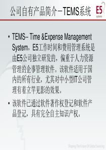 公司自有产品简介-TEMS系统-PowerPointP