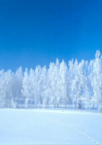 人教版小学语文一年级上册《雪地里的小画家》PPT课件-新