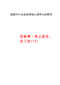 我国中小企业培育核心竞争力的研究1209